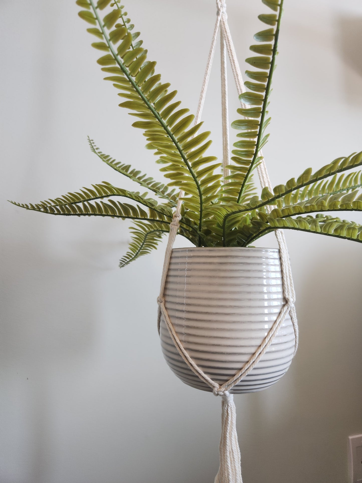 Twisted Top Plant Hanger
