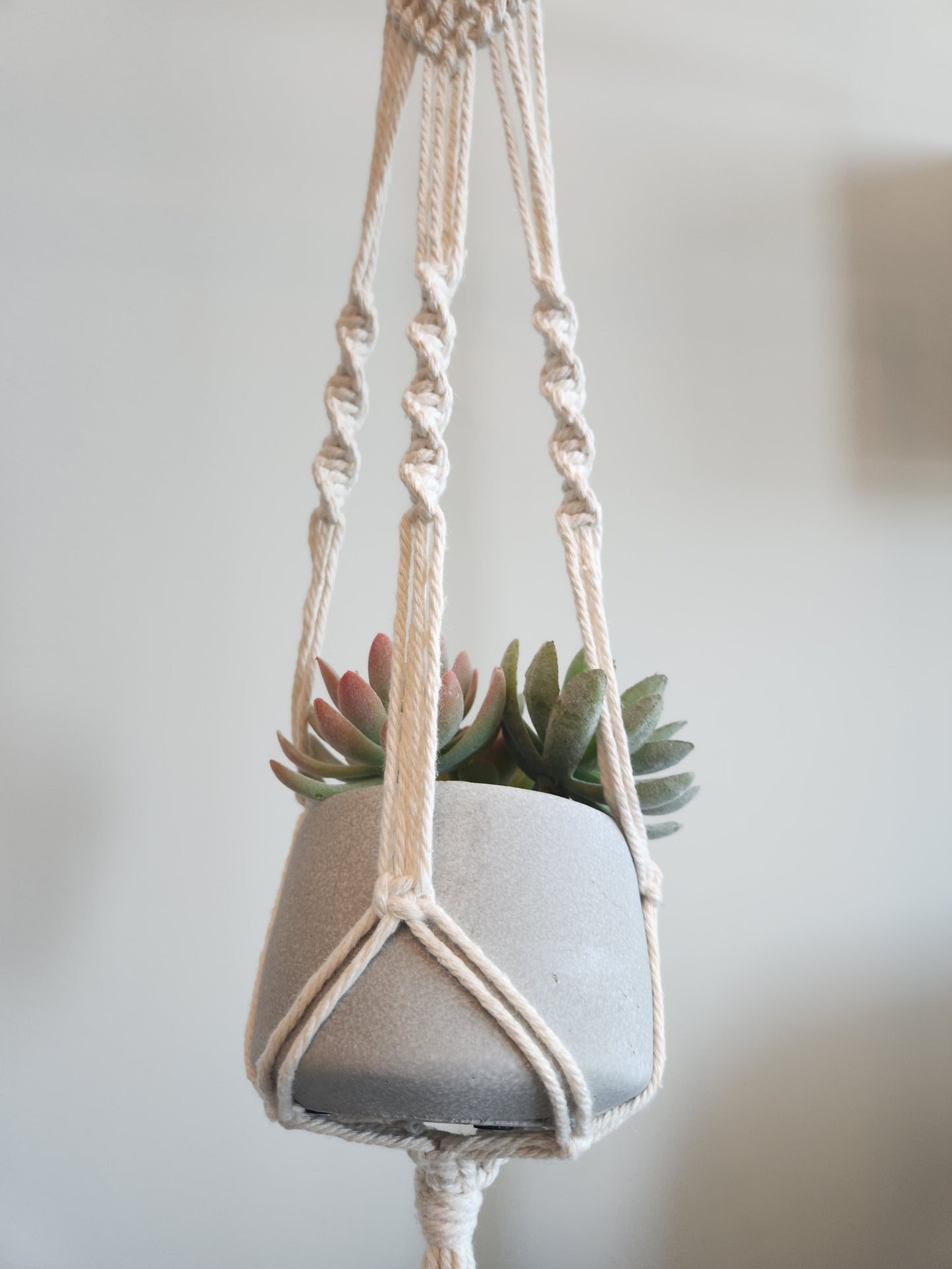 Ring Diamond Pattern Plant Hanger