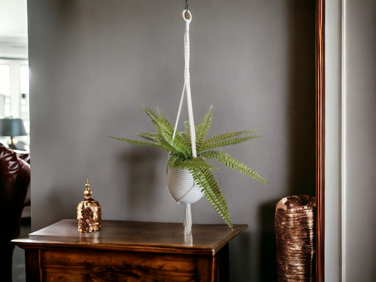 Twisted Top Plant Hanger