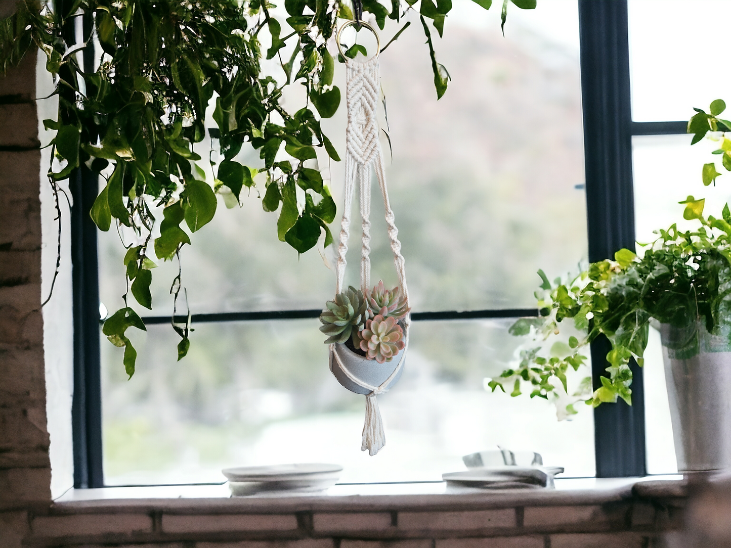 Ring Diamond Pattern Plant Hanger